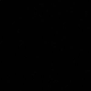 Meet your Posher, Marley